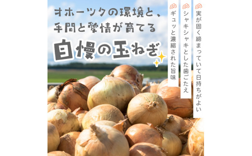 北海道北見市のふるさと納税 【2024年11月中お届け】北海道北見産 玉ねぎ 10kg ( 野菜 たまねぎ タマネギ 玉葱 玉ねぎ 甘い Lサイズ 10キロ 玉ねぎ生産量日本一 )【002-0001-2024】