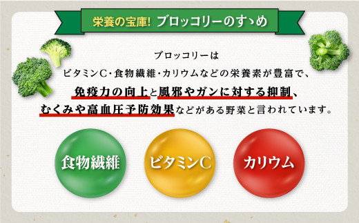 鹿児島県産 冷凍ブロッコリー - 鹿児島県大崎町｜ふるさとチョイス