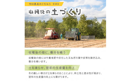 北海道北見市のふるさと納税 【2024年11月中お届け】北海道北見産 玉ねぎ 10kg ( 野菜 たまねぎ タマネギ 玉葱 玉ねぎ 甘い Lサイズ 10キロ 玉ねぎ生産量日本一 )【002-0001-2024】