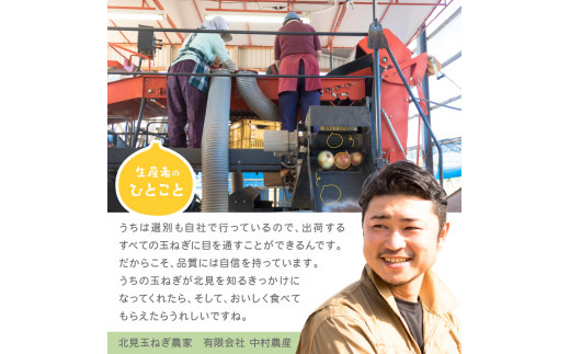 北海道北見市のふるさと納税 【2024年11月中お届け】北海道北見産 玉ねぎ 10kg ( 野菜 たまねぎ タマネギ 玉葱 玉ねぎ 甘い Lサイズ 10キロ 玉ねぎ生産量日本一 )【002-0001-2024】