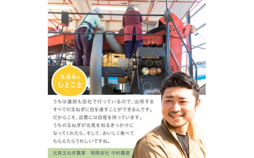 北海道北見市のふるさと納税 【2024年10月中お届け】北海道北見産 玉ねぎ 15kg ( 野菜 たまねぎ タマネギ 玉葱 玉ねぎ 甘い Lサイズ 15キロ 玉ねぎ生産量日本一 )【002-0003-2024】