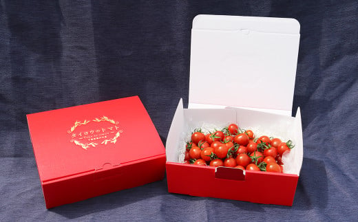 専用箱に詰めたトマトをヤマト運輸の常温便にてお届けいたします。