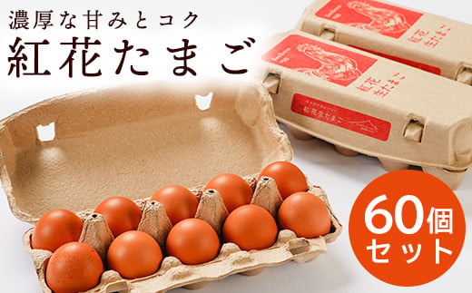 紅花たまご 60個セット 10個×6パック 卵 [026-001] - 山形県米沢市