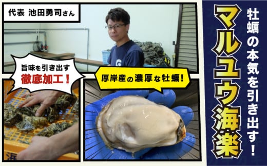 訳あり 規格外 牡蠣 北海道厚岸産 殻付カキ 約4kg (25〜50個