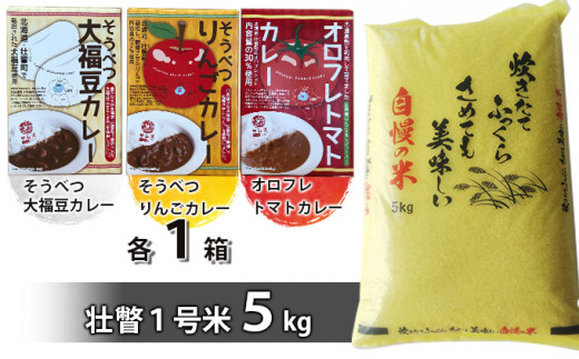 №5724-0448]北海道壮瞥産 新山米とご当地レトルトカレー 同月2品別配送