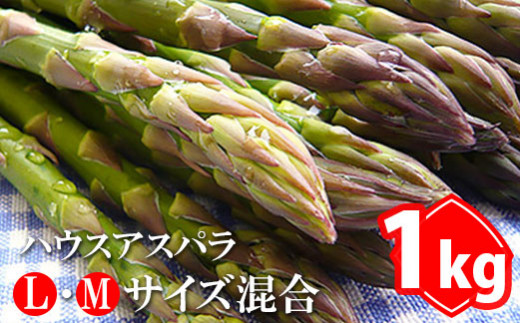 【2024年3月下旬～4月中旬発送予定】ハウスアスパラ　L・Mサイズ混合1kg【290006】