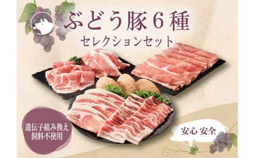 綾ぶどう豚 セレクション6種セット 1.7kg（22-22）