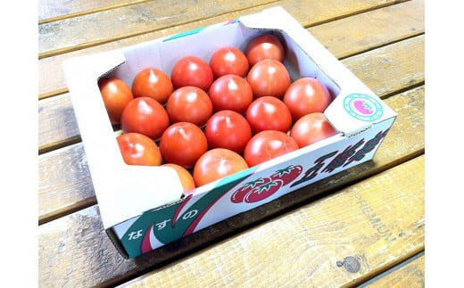 渡邉農園の「五峰美トマト」1箱 約2kg 