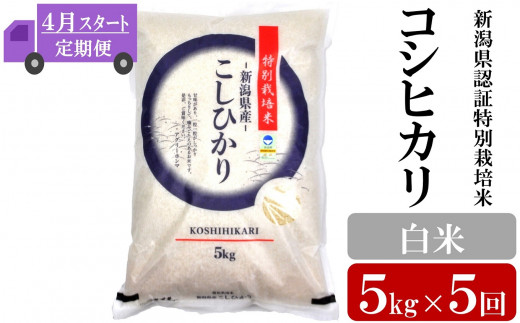 定期便・4月～発送】新潟県認証特別栽培米 コシヒカリ 白米 5kg×5回