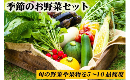 畑から直送＞季節のお野菜セット - 熊本県阿蘇市｜ふるさとチョイス