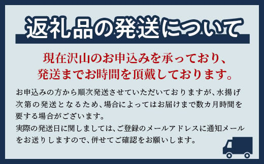 11/15～寄付額変更】【先行予約】【訳あり】北海道噴火湾産活