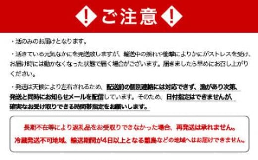 11/15～寄付額変更】【先行予約】【訳あり】北海道噴火湾産活