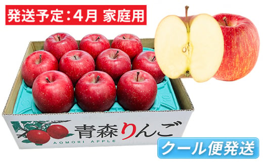 4月 冷た～い ふじりんご 約3kg（有袋栽培 家庭用・8～11玉程度 CA貯蔵）【青森りんご・マルコウアップル】