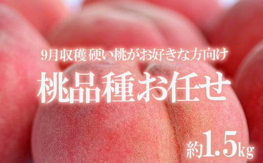 No.1906【先行予約】たかはし果樹園 9月収穫の桃　品種お任せ1.5kg【2023年発送】