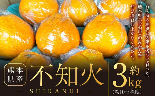 不知火 約3kg (約10玉程) 柑橘 果物 しらぬい みかん 蜜柑 くだもの [2025年2月下旬発送開始]