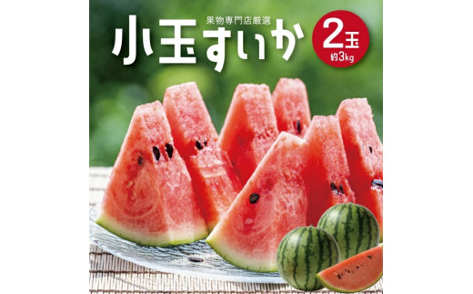 SA2096　酒田の果物専門店厳選　庄内産 小玉すいか　約3kg(2玉入)