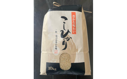 【玄米10kg】農家直送！美味しいお米！埼玉県産コシヒカリ！