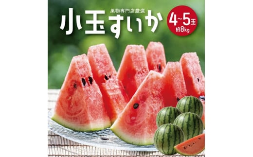 SB0473　酒田の果物専門店厳選　庄内産 小玉すいか　約8kg(4～5玉入)