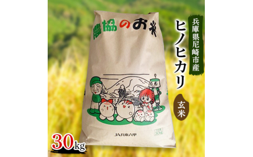 令和4年産兵庫県尼崎市産ヒノヒカリ玄米30kg【1306334】|兵庫六甲農業協同組合　尼崎営農支援センター