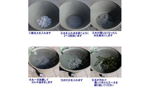 メダカ鉢に使用しているのは銀玉土です