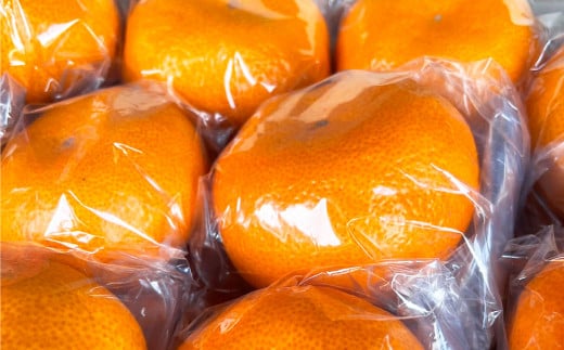 くまモン木箱入り みかん 約3kg 柑橘 果物 蜜柑