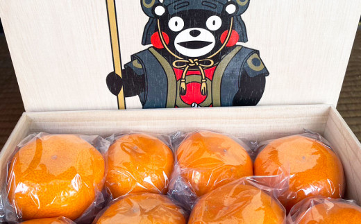 【2024年11月発送開始】くまモン木箱入りみかん約3kg柑橘 果物 蜜柑