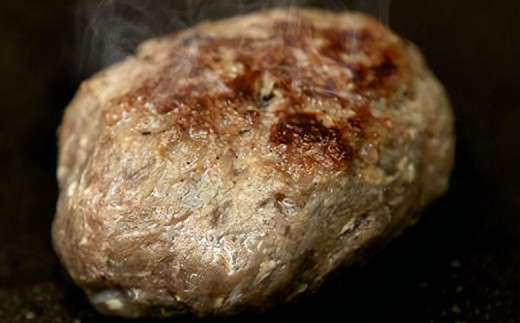 阿蘇あか牛ハンバーグ 4個 100g×4個 牛肉 肉 お肉 和牛 焼くだけ