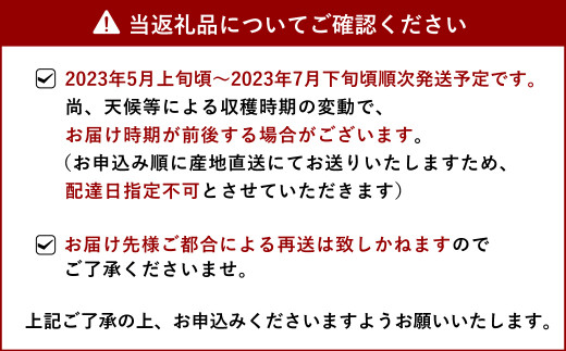 5月上旬より順次発送予定】宇城市産 肥後グリーン 2玉 フレッシュ