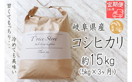 T rice Store 岐阜県産コシヒカリ（玄米） 約15kg(5kg×3回） 427985 - 岐阜県垂井町
