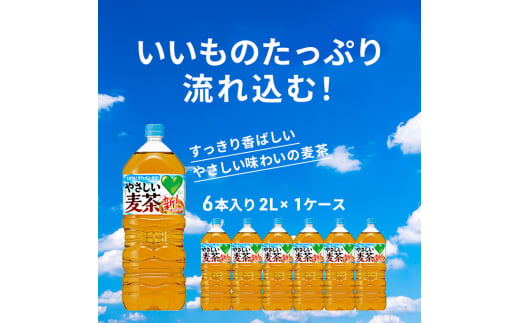 麦茶 GREEN DA・KA・RA やさしい麦茶 2L×6本 ペットボトル 650391 - 神奈川県綾瀬市