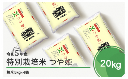 新米 つや姫 20kg 山形 特別栽培米 令和5年 - 米