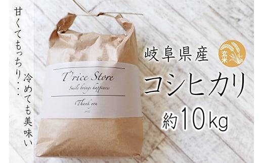 T rice Store 岐阜県産コシヒカリ（玄米） 約10kg 427990 - 岐阜県垂井町