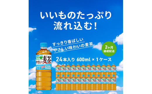 麦茶 定期便 2ヶ月 GREEN DA・KA・RA やさしい麦茶 600ml×24本 ペットボトル 650393 - 神奈川県綾瀬市