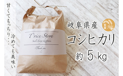T rice Store 岐阜県産コシヒカリ（玄米） 約5kg 427984 - 岐阜県垂井町
