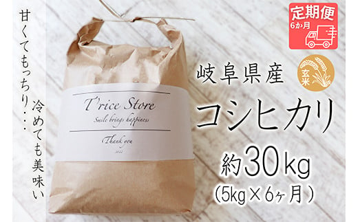 T rice Store 岐阜県産コシヒカリ（玄米） 約30kg(5kg×6回） 427986 - 岐阜県垂井町