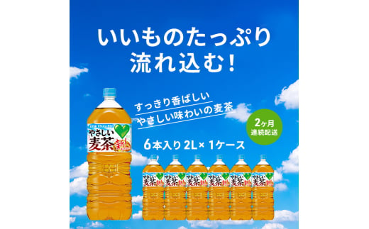 麦茶 定期便 2ヶ月 GREEN DA・KA・RA やさしい麦茶 2L×6本 ペットボトル 650392 - 神奈川県綾瀬市