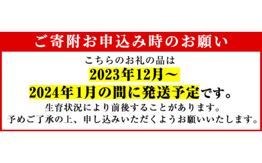 先行予約受付中！2023年12月上旬以降発送予定＞郷土の味「こっぱ餅」と