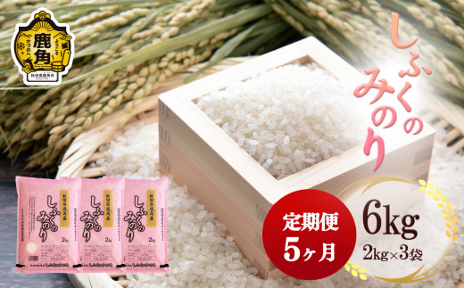 定期便】令和5年産「しふくのみのり」精米 6kg×5ヶ月【安保金太郎商店