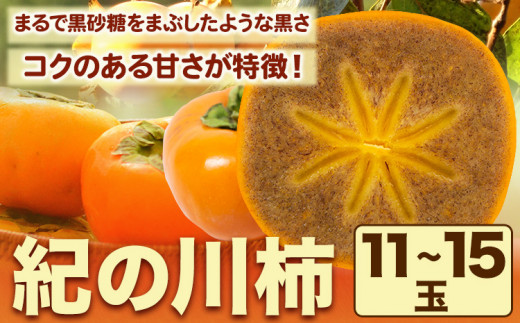 紀の川柿 11-15玉入 約4kg ときわオンライン【先行予約】《2025年10月上旬-12月中旬頃出荷》和歌山県 紀の川市 平核無柿 ひらたねなしがき