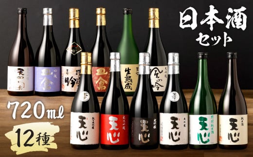 溝上酒造 日本酒 セット ④（720ml×12本）計8640ml 12種 詰合せ 酒