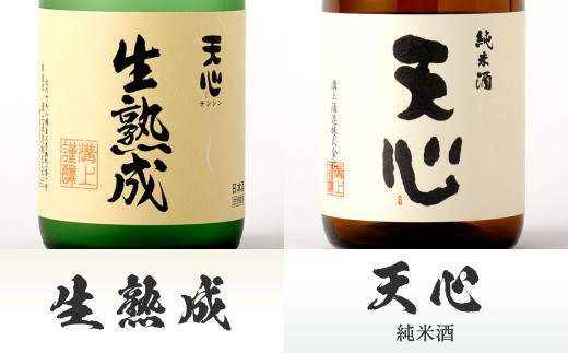 溝上酒造 日本酒 セット ③（720ml×6本）計4320ml 6種 詰合せ 酒 福岡県