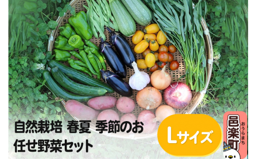 自然栽培 春夏 季節のお任せ野菜セット Lサイズ 703045 - 群馬県邑楽町