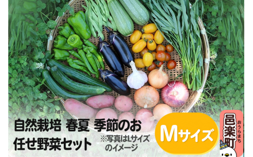 自然栽培 春夏 季節のお任せ野菜セット Mサイズ 703044 - 群馬県邑楽町