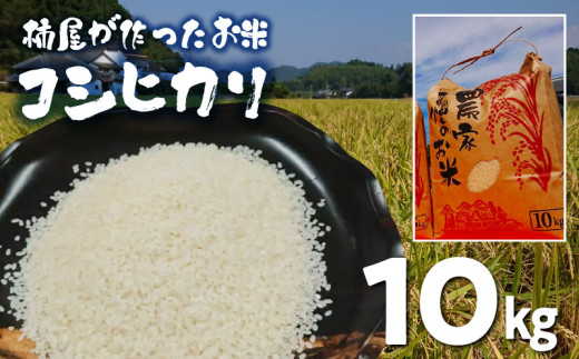 S114-015_柿屋が作ったお米 コシヒカリ 10kg 650168 - 熊本県天草市