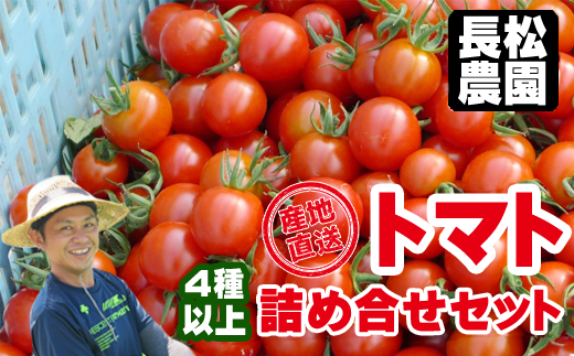 長松農園の美味しいトマトを種類おまかせでお送りします！！