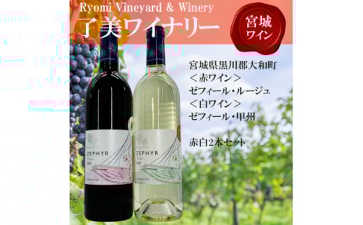 ＜宮城ワイン＞了美ワイナリーの赤ワイン&白ワイン　750ml×2本セット【1387466】 651595 - 宮城県宮城県庁