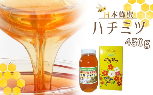 日本蜜蜂ハチミツ450g  | はちみつ 吉野町 幻の蜂蜜