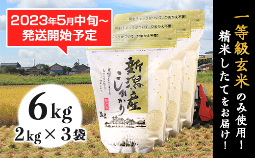 新潟県産コシヒカリ6kg（2kg×3袋）