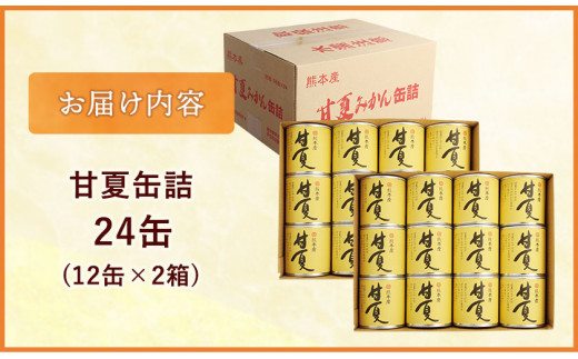 甘夏缶詰24缶入り (12缶×2箱)《60日以内に順次出荷(土日祝除く)》熊本県 葦北郡 津奈木町 あしきた農業協同組合 JAあしきた 柑橘 甘夏  あまなつ フルーツ 果物 缶詰 送料無料|株式会社ローカル