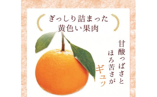 甘夏缶詰10缶入り《60日以内に順次出荷(土日祝除く)》熊本県 葦北郡 津奈木町 あしきた農業協同組合 JAあしきた 柑橘 甘夏 あまなつ フルーツ  果物 缶詰 送料無料